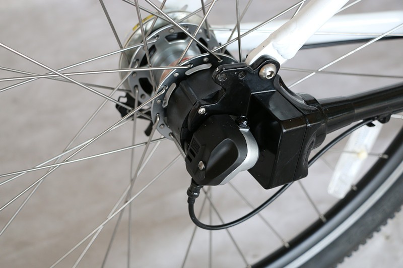 36V Voltage Brushless Motor Chainless Electric Bike 2019 with Shaft Drive and Voltage