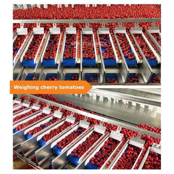 Fruit Clamshell Packaging Line Automatic Fruit Weighing And Filling Machine PET Box Fruit Packaging System