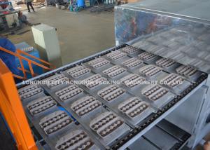 Wholesale Paper Product Making Machine , Rotary Egg Tray Making Machine 30,18,12,6 Eggs from china suppliers