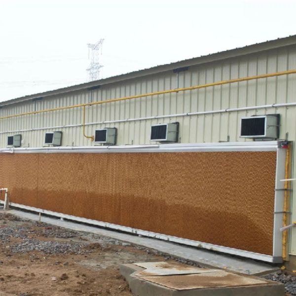 Broiler Poultry Farm Equipment with Automatic Feeding System, Environment Control, and Cooling Pad for Chicken House