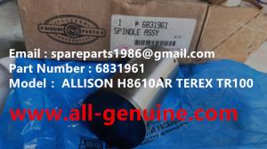 Wholesale 6831961 ALLISON TRANSMISSION TEREX TR35A 3305F 3305G 3305K 3305B RTD GENUINE PARTS from china suppliers