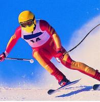 Wholesale Plastics and Packaging - Sports Equipment Printing Mesh from china suppliers