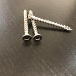 Decking Screws T17 Square Drive Stainless Steel 10G x 45mm