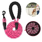 Reflective Nylon Dog Leash Acceptable OEM ODM Manufacture All-Season Market