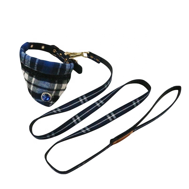 Double Layer Harness Leash Set Waterproof Pet Collar Leash For Dog