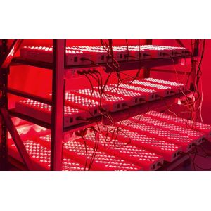 GuangDong One World High-tech Co., Ltd