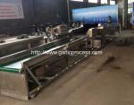 Garlic Dry Cleaning Machine