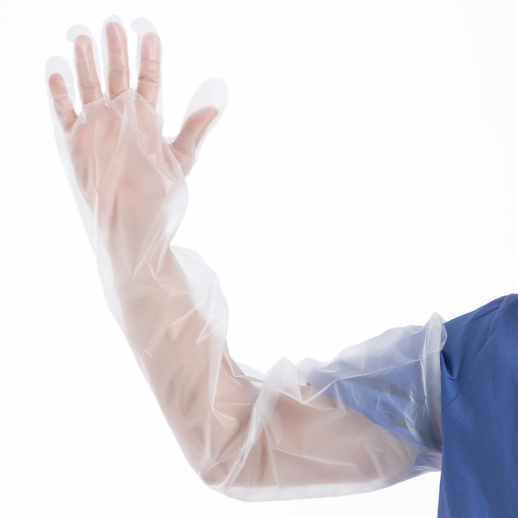 Plastic Disposable Protective Gloves PE Long Sleeve White