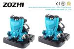 Cast Iron Automatic Water Pump , Centrifugal Self Sucking Pump Electric 30 Heads