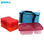 Thermal Mini Ice Packs HDPE Hard Shell 17.8x12.2x1.4cm