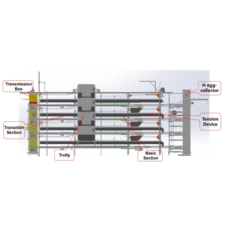 Automatic Feeding Corrosion Resistant Poultry Farm Equipment with Multi-tier Manure Removal Layer Chicken Cage