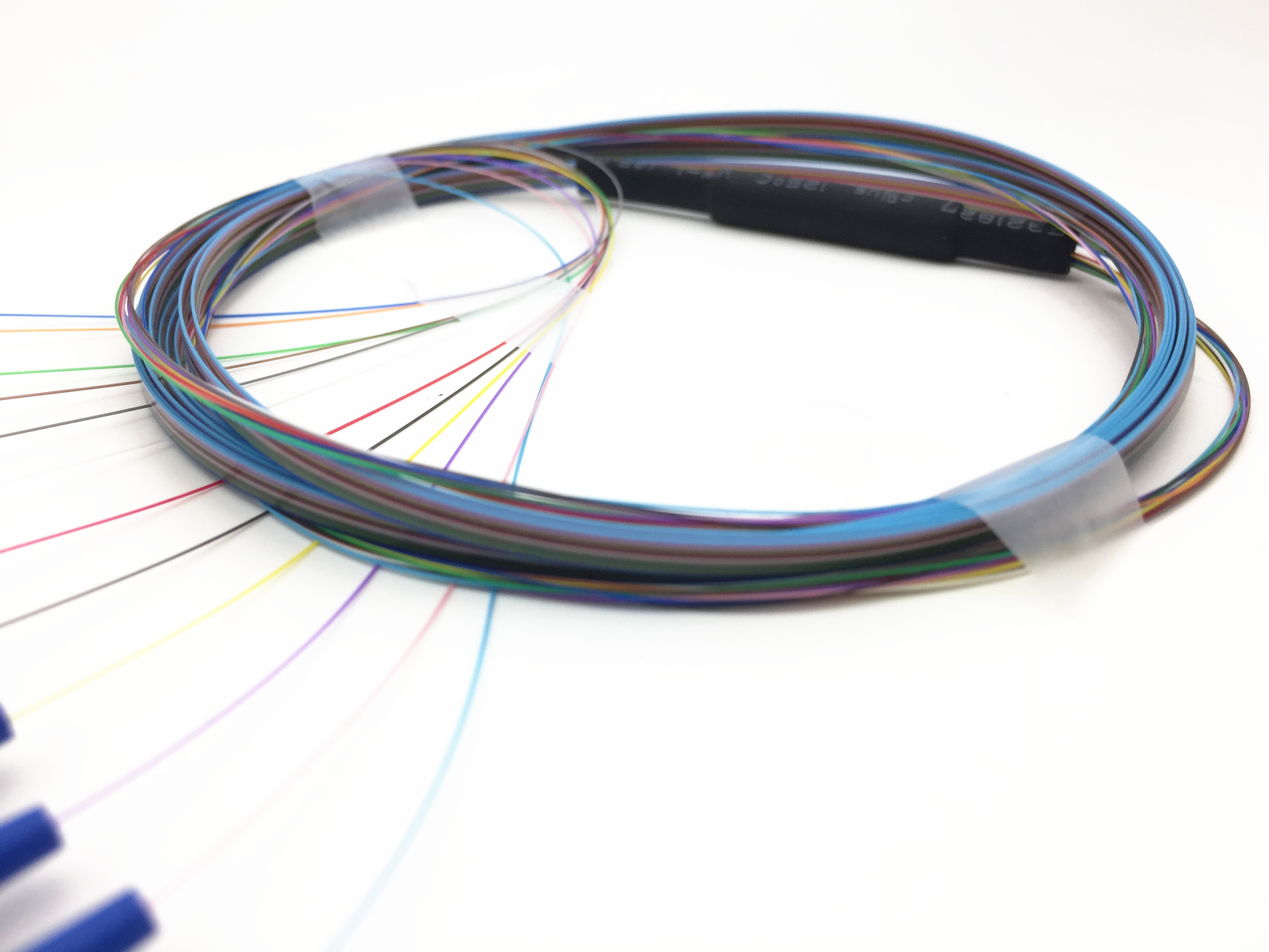 Singlemode 12 Core Ribbon Fanout 250um Fiber Optic Pigtail