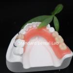 High Esthetics Dentsply Lucitone 199 Acrylic Denture acrylic resin for dentures