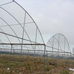 Rain Shelter Tunnel Plastic Greenhouse 80mic 100 Micron 200micron