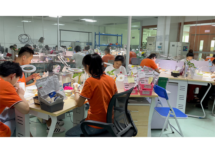 Custom Zirconia Dental Crown Precise Fit Tooth Cap from China dental lab