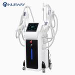 2018 trending products 4 handles fat freeze slimming beauty equipment cryolipoly