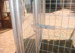 chain link dog kennels