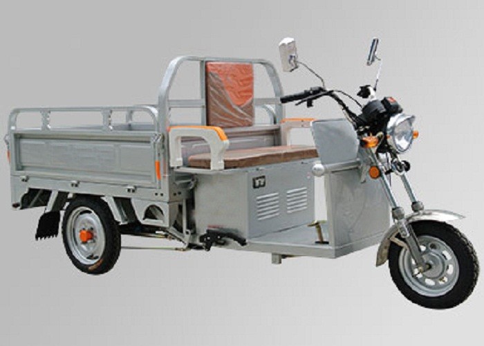 48V 800W Motor Electric Three Wheel Motorcycle 3 Wheel Cargo Motorcycle Steel Wheel