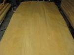 Rotary Cut/Peeled Birch Wood Veneer Sheet