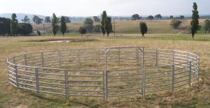 Wholesale Livestock Panels 6 Oval Bar Low Hog Wire Fencing Cattle Galvanized Livestock Fence Panels from china suppliers