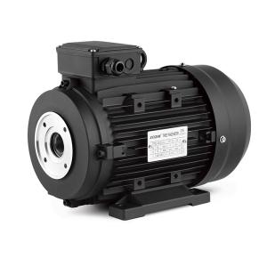 Wholesale Three Phase AC Powerful Hollow Shaft Motor 5.5Kw 7.5Hp For Italy High Pressure Washer from china suppliers
