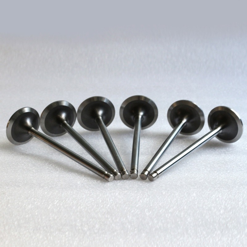 Nissan Diesel Engine Parts SD20 SD22 SD30 Intake And Exhaust Valve