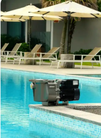 Ultra-Efficient Thermal Regulation Pool Heat Pump with All-Weather Adaptability and Energy Efficiency Ratio 6.0 for Year-Round Swimming