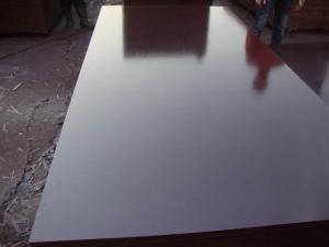 Wholesale Shuttering Plywood/Brown Film Faced Plywood for Concrete Formwork from china suppliers