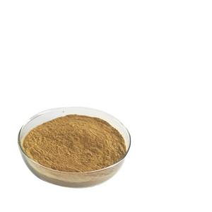 Wholesale Artificial 18% Banaba Leaf Extract Corosolic Acid Food Grade from china suppliers