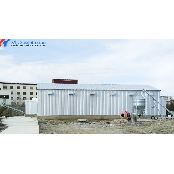 Galvanized Steel Poultry Farming Equipment with Automatic Operation and High Efficiency Auto Feeding System