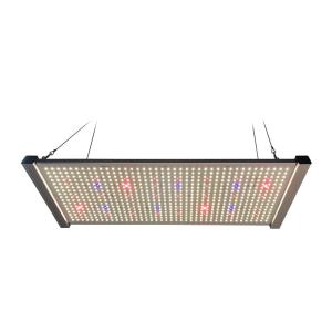 Wholesale 320W Quantum Board LED Grow Lights Full Spectrum SEOUL UV 395nm from china suppliers