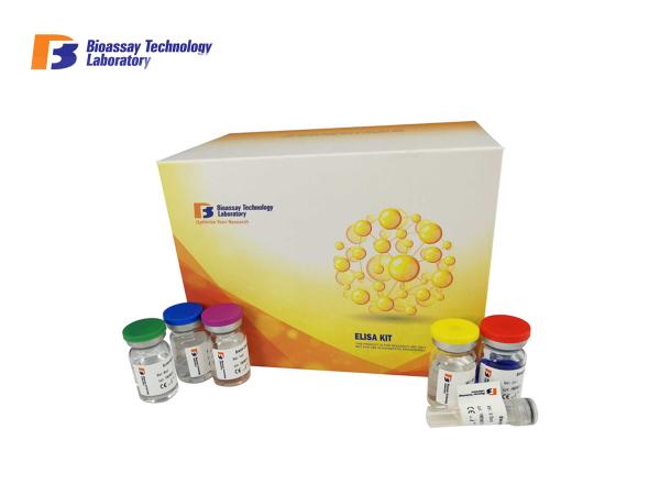 Quality Sandwich Human Elisa Kit 96 Well For Kidney Injury Molecule 1 Detection for sale