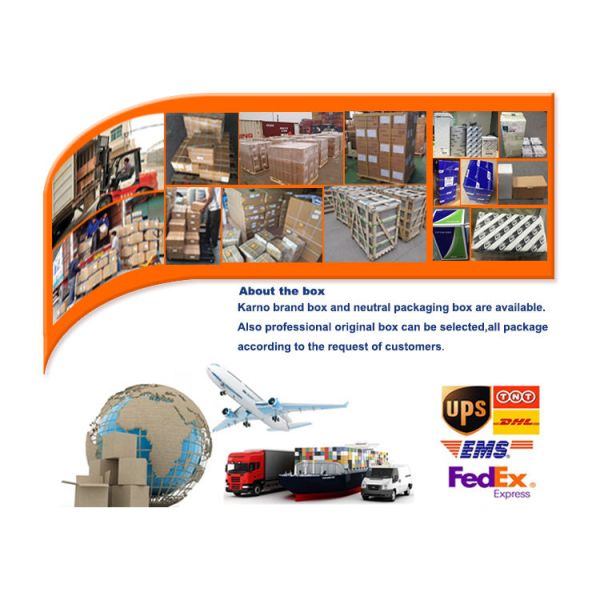 Diesel Motor Dongfeng Truck Water Pump Replacement D5010295150 1307ln01-010 OEM