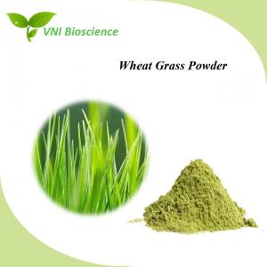 Wholesale Food Plant Herbal Extract Anti Aging Barley Grass Extract Powder from china suppliers