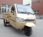 Motorized Tricycle 300CC Carga Triciclo Cargo Red Driving Type Motorized Closed
