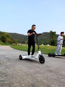 Wholesale Precursor Airuide Brushless Hub Motor Electric E Scooter 30KG Lightweight from china suppliers