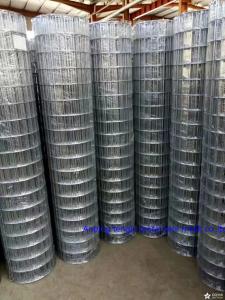 Wholesale Bbq Grill Grate Welded Wire Mesh 1x1 Stainless Steel Square Hole Shape Untreatment from china suppliers