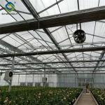 Sainpoly Commercial Agricultural Flower Green Houses For Planting
