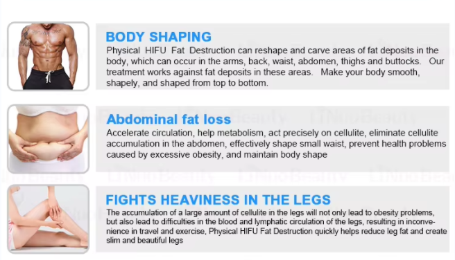 40K Cavitation RF Skin Tightening Portable 360 Cryo Fat Freezing Machine For Slimming
