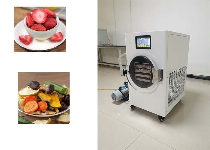 Compact Stainless Steel Freeze Dryer 1600W 90kg Weight 19~23 Hours Freeze Dry Cycle
