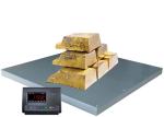 Adjust Height 1.2M 2000kg Steel Warehouse Floor Scale