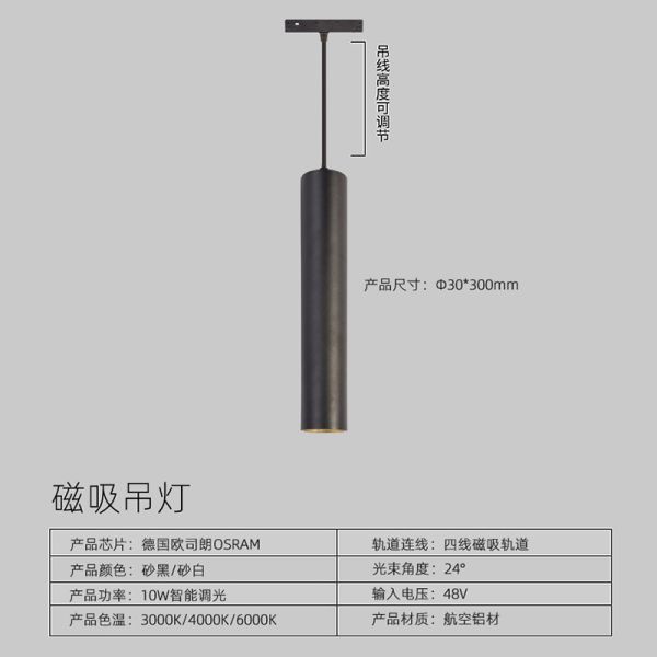 Low Voltage 48v 10w Magnetic Pendant Light LED Commercial Home Lighting