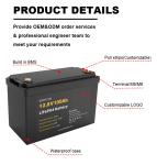 OEM ODM 12 Volt Deep Cycle Rechargeable Battery 100AH LiFePO4 Battery