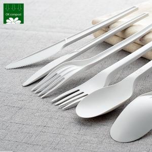 China OEM Service 100% PLA Plastic Fully Compostable Quality Disposable Cutlery Biodegradable Spoon Fork Knife Set on sale