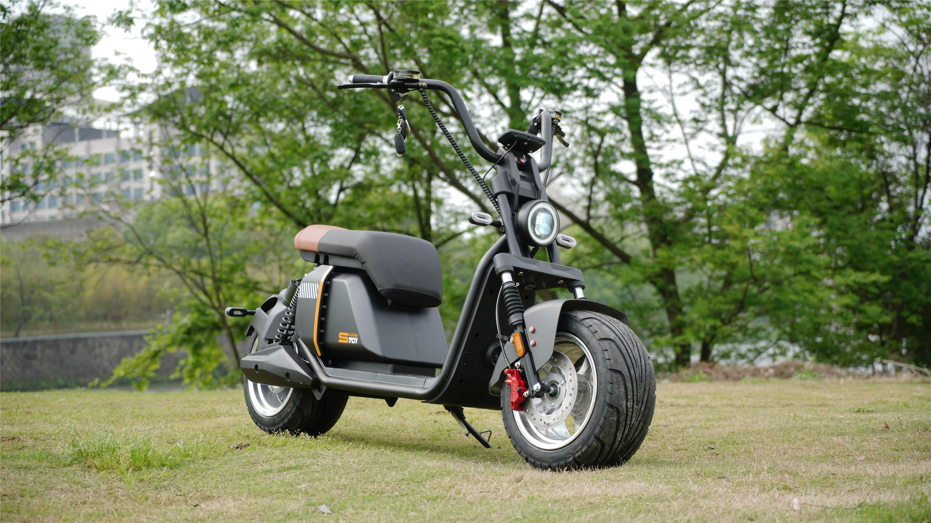 Hydraulic Disc Brakes Electric Scooter Adult Citycoco European Warehouse Ready To Ship