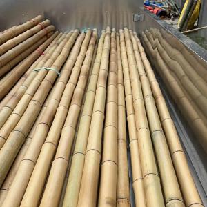 Wholesale Wholesale Price Natural Moss Plant Pole Moss Stick For Climbing Plants Moss Poles Support from china suppliers