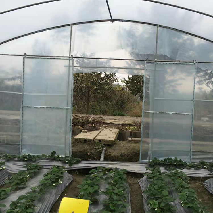Tropical Gothic High Tunnel Plastic Film Greenhouse For Vegetables Planting