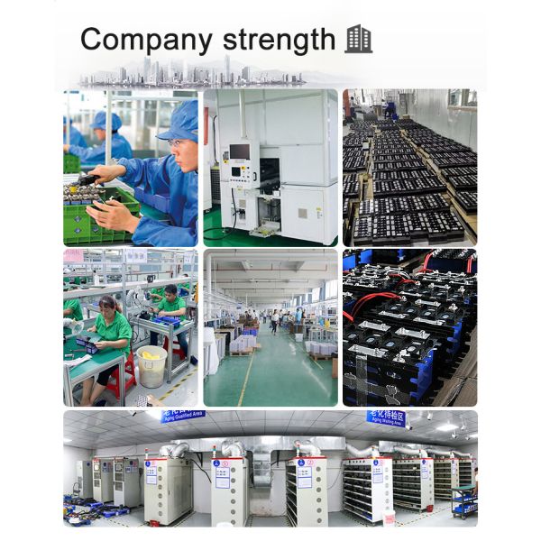 100Ah 48 Volt Lithium Battery For Golf Cart 51.2v 200Ah Lifepo4 With Bms Charger