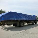 Supply Waterproof PE Tarpaulin for Construction Tent Truck Cover Lightweight and