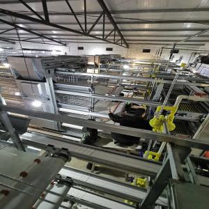 Wholesale 10000 Birds H Type Broiler Chicken Cage Battery System Material from china suppliers